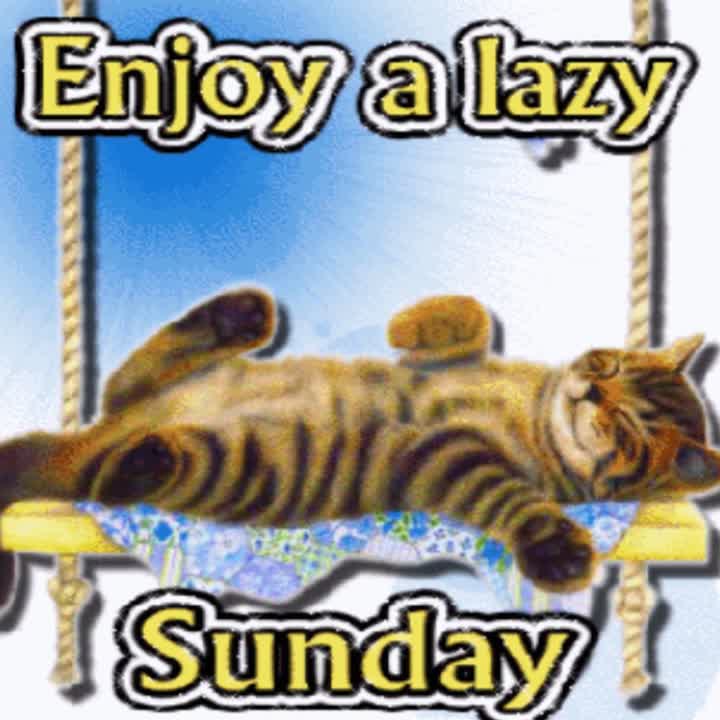 Enjoy a lazy Sunday!