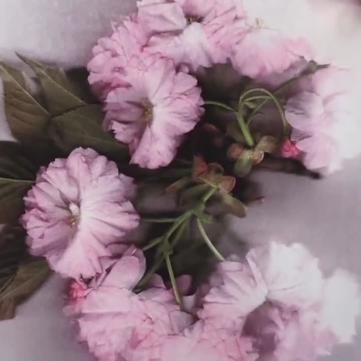Flowers at the office!