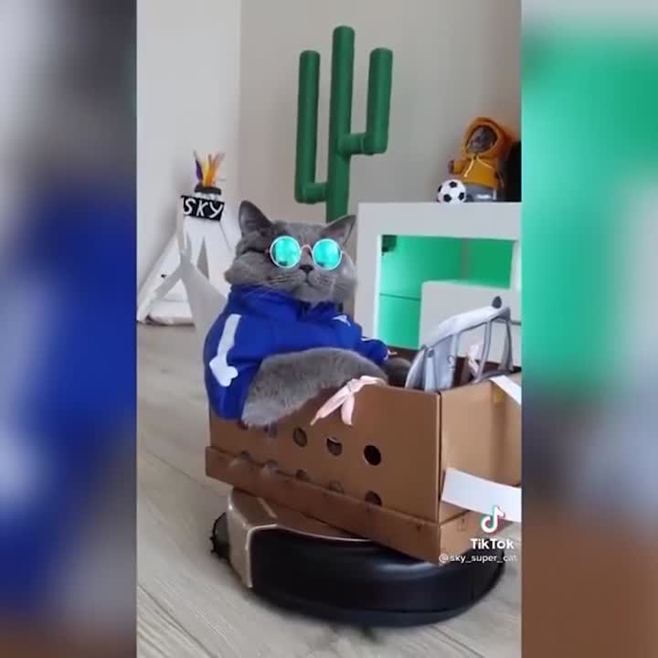 Cleaning like a pro!