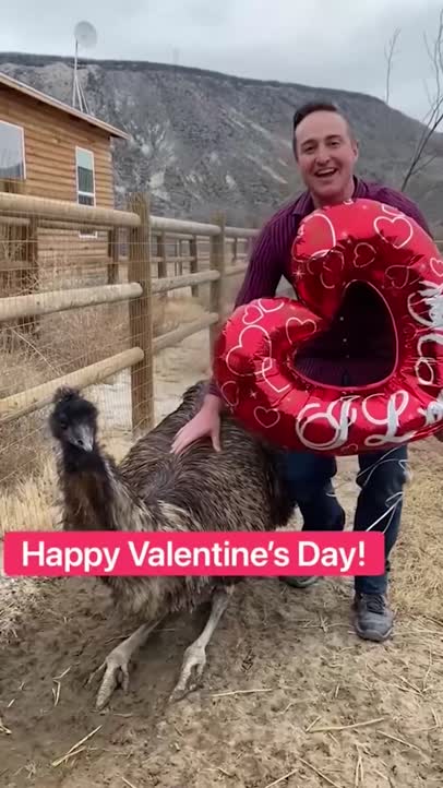 Animals on Valentine’s Day!