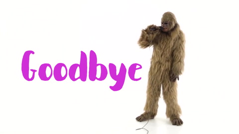 Goodbye!