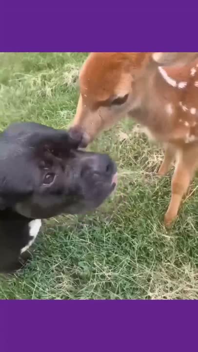 Strange friendships!