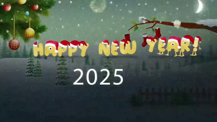 Goodbye 2024, Welcome 2025!