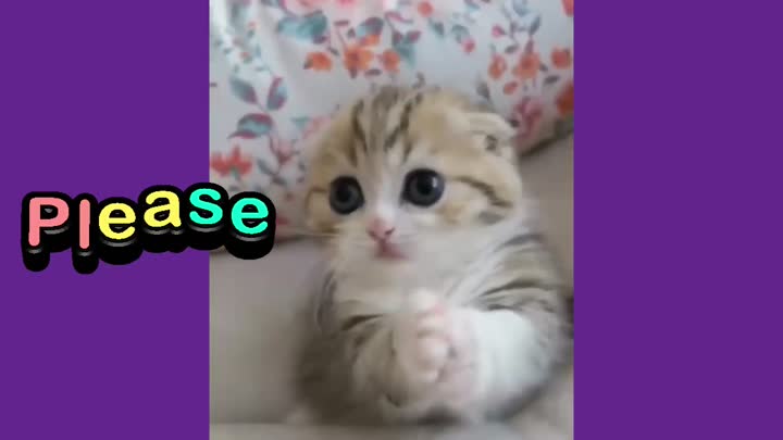 Please!
