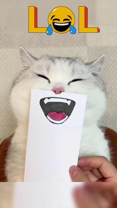 Lol!