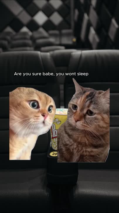 Can we watch a movie?