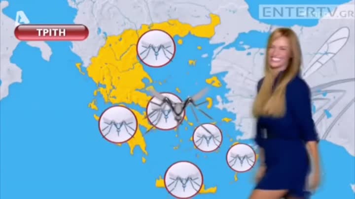 Πολύ κουνούπι!