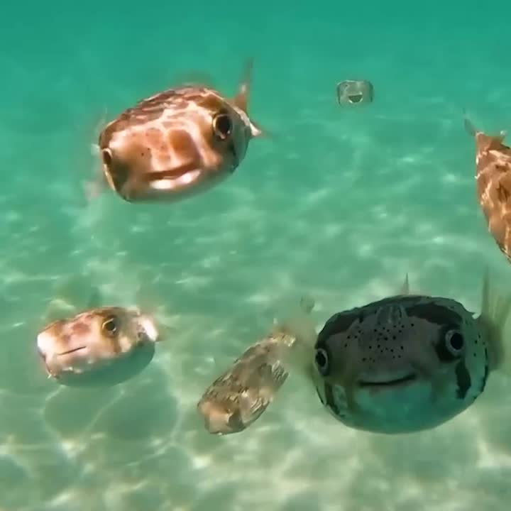 Hello!