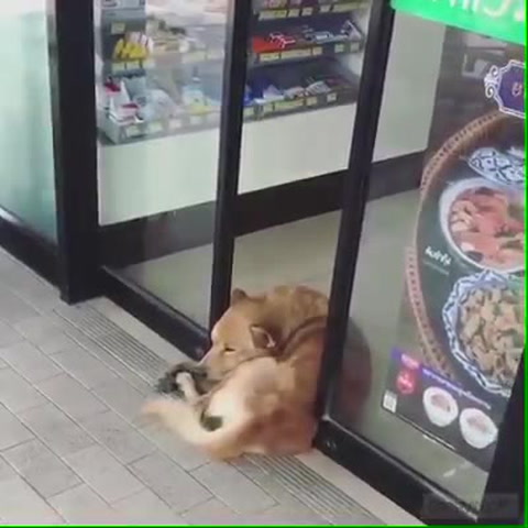 I feel lazy!