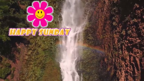 Happy Sunday!