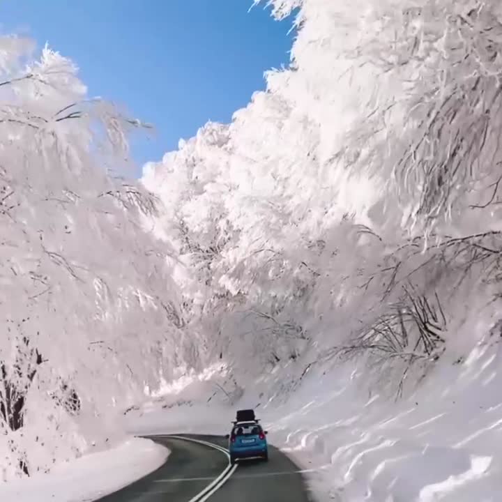Fantastic snow in mountain Vitsi, Florina!
