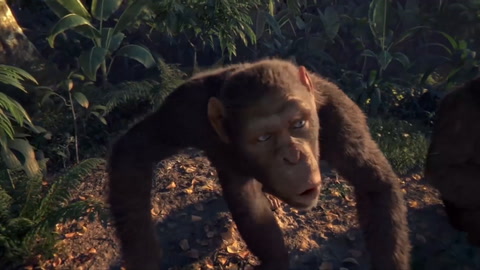 The beats of the apes!