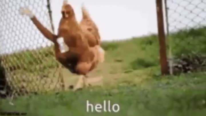 Hello!