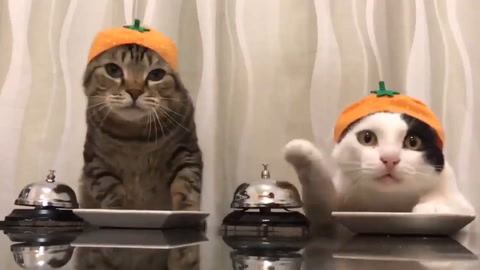 Can't wait for food!