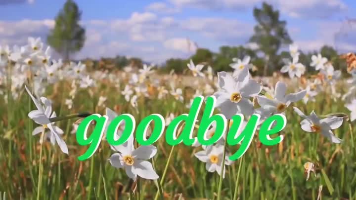 Goodbye!