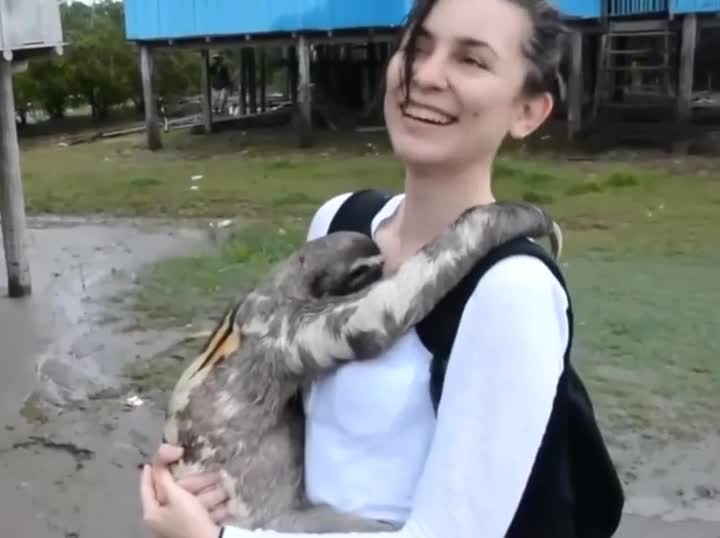 Loving animals!