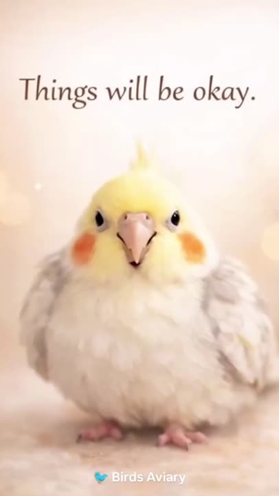 You are not alone!