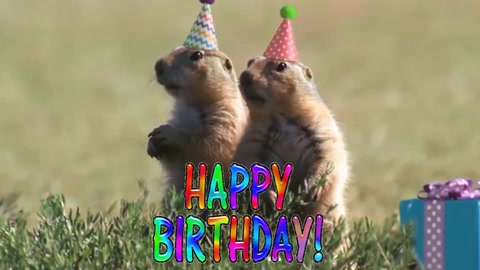 Happy Birthday!