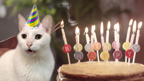 Happy Birthday!