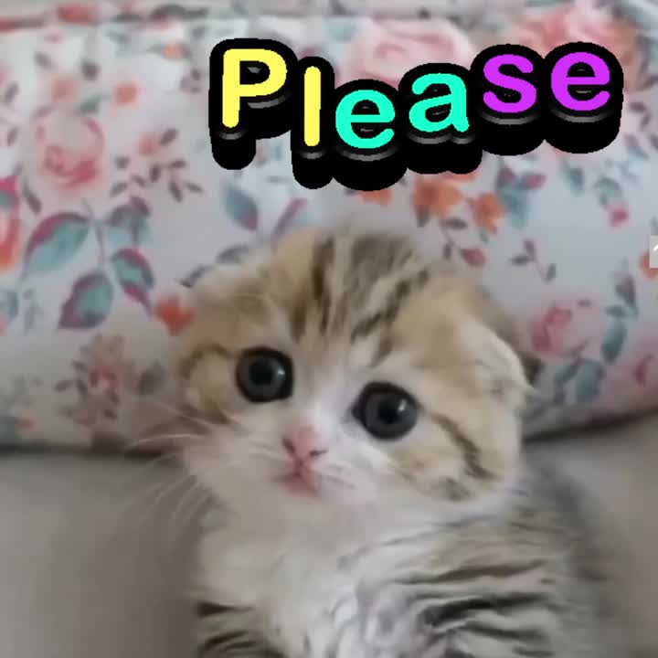 Please!