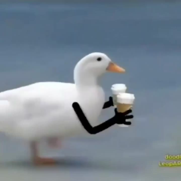 Coffee!