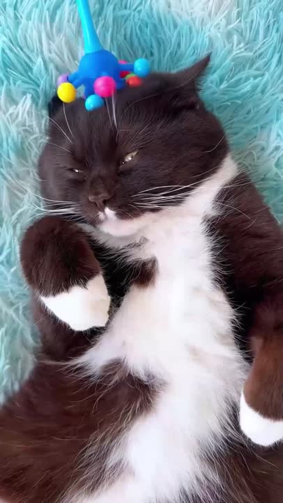 Relax!