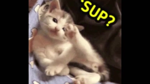 Sup!