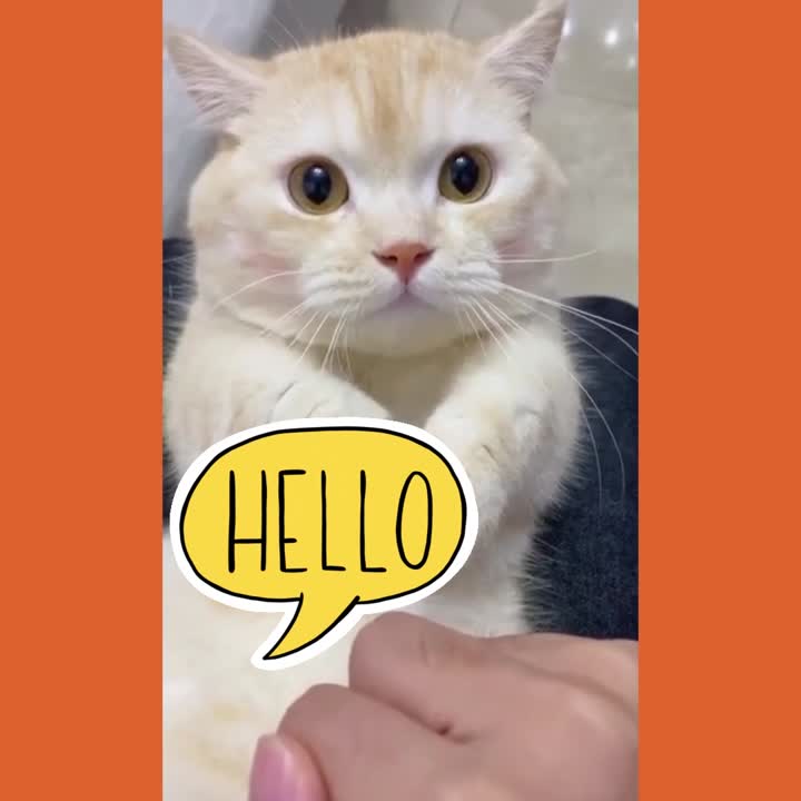 Hello!