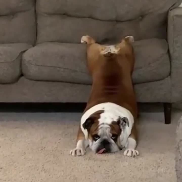 Me? Lazy? Nooo!