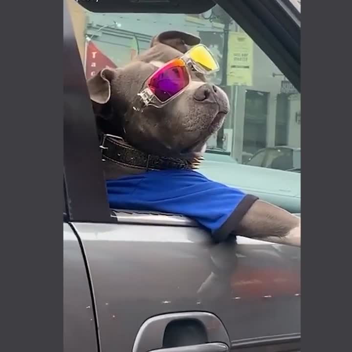 What's up!?