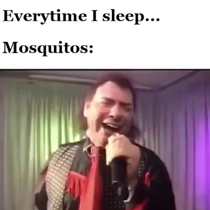 Mosquitos when I sleep!