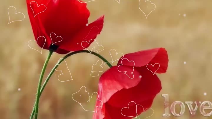 Love!