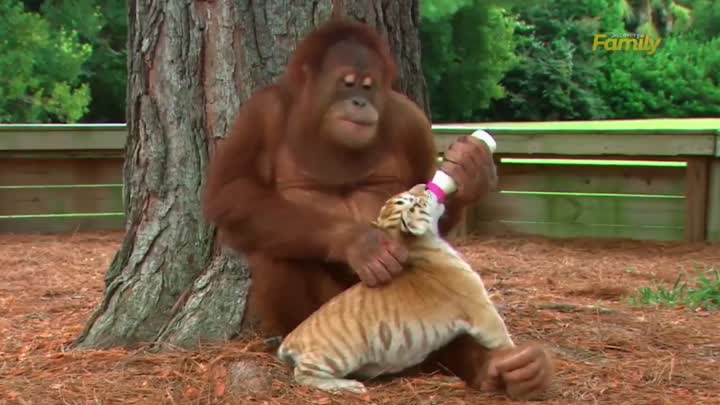 Feeding the baby!