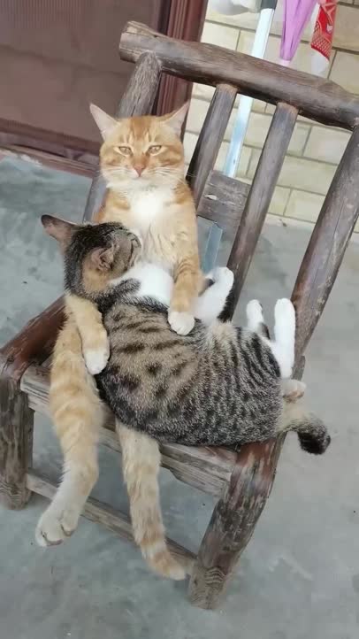Lazy afternoon!
