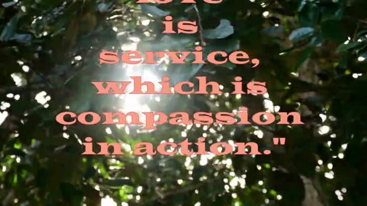 Compassion in action!