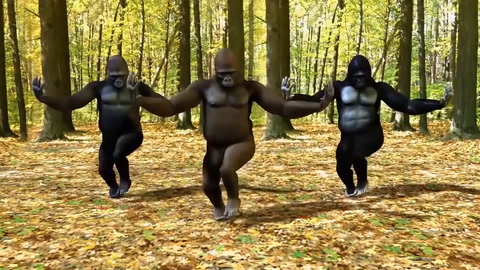 Gorilla dance!