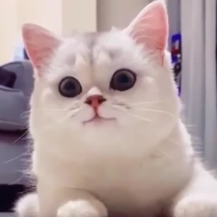 Smile!