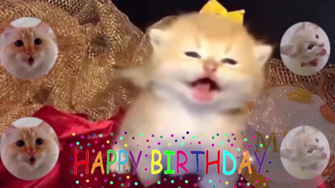 Happy Birthday!