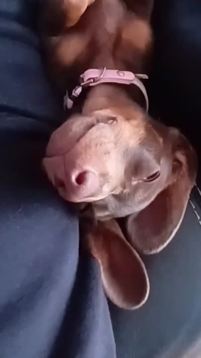 Lazy Sunday afternoon!