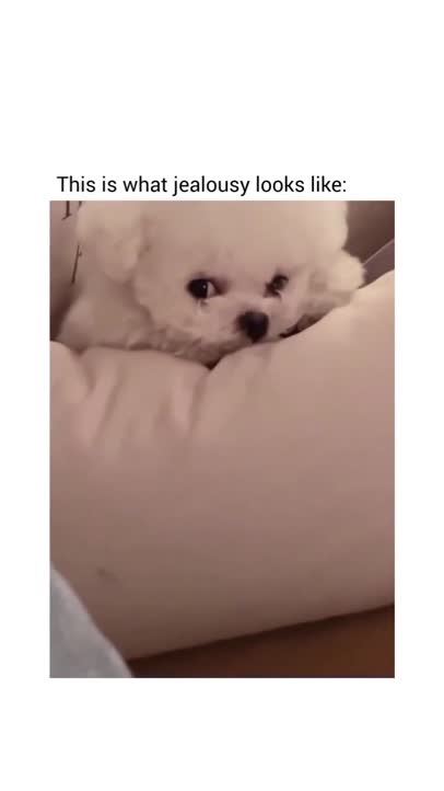 I'm not jealous!