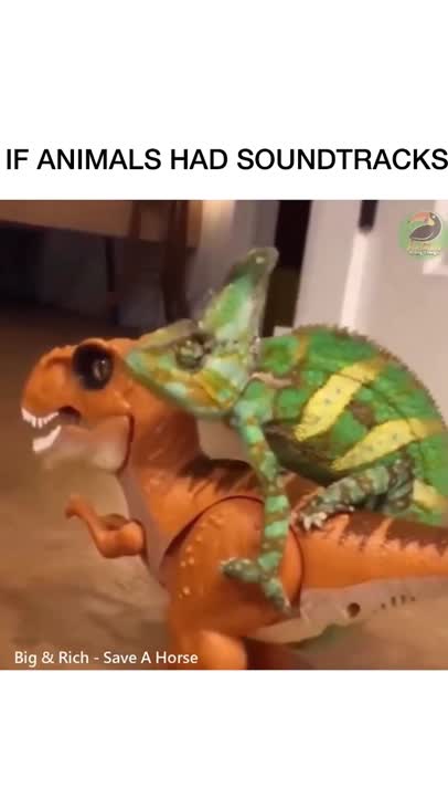 If animals had soundtracks! pt3