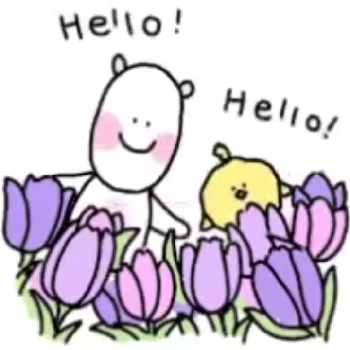 Hello!