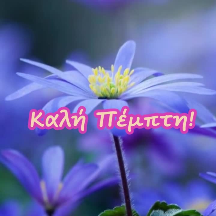 Καλή Πέμπτη!
