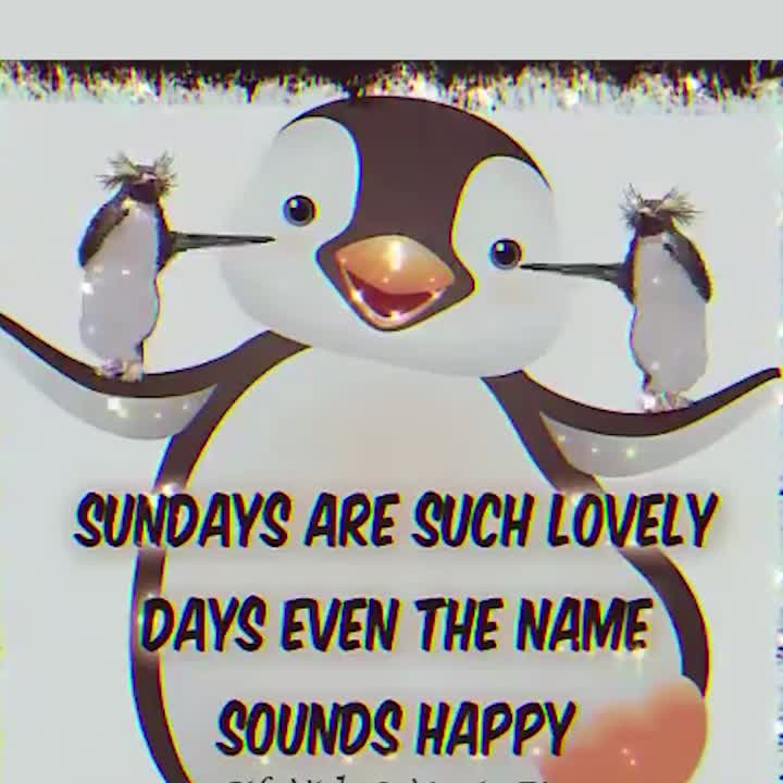 Happy Sunday!