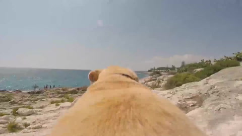 Let's go to the beach!