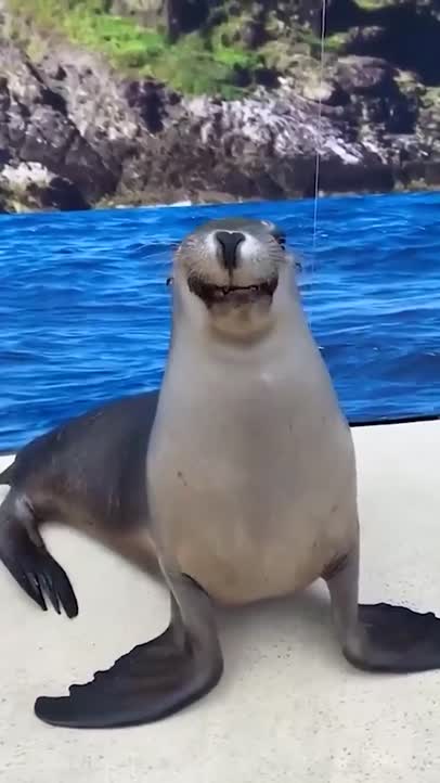 Smile!
