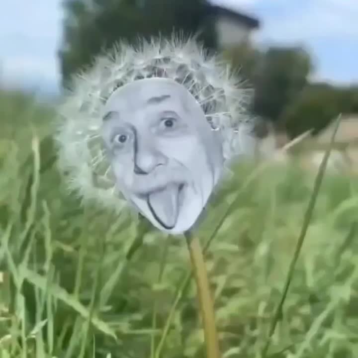 Art and fun!