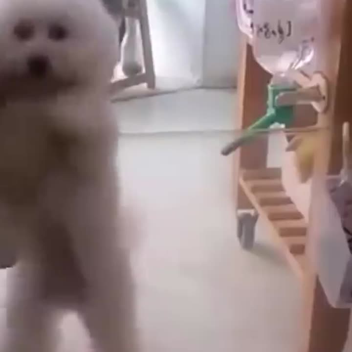 Happy!