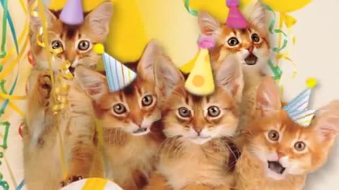 Happy Birthday!