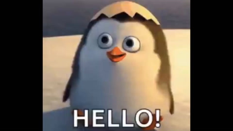 Hello!